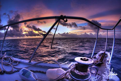 This image was taken during a beautiful sunrise from the ... by Steven Anderson 