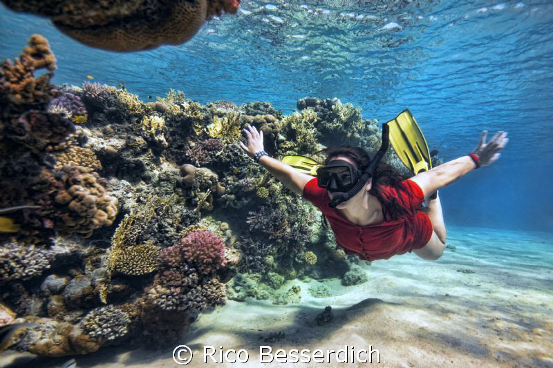 "Exploring the reef"
CANON 40D with Sigma 10-20mm & Magi... by Rico Besserdich 