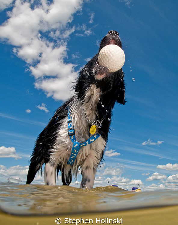 Play! Canon G10, Sea and Sea Strobe by Stephen Holinski 