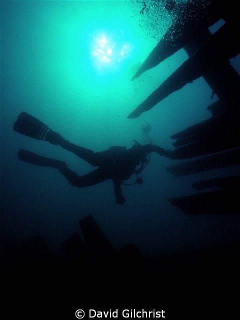 Diver Silhouette, Fathom Five National Marine Park, Tober... by David Gilchrist 