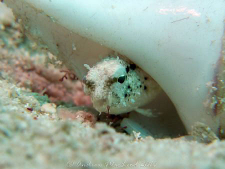 who you looking at?? Canon G10. i think it is better than... by Andrew Macleod 