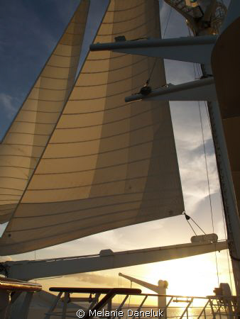 The beautiful Wind Surf. by Melanie Daneluk 