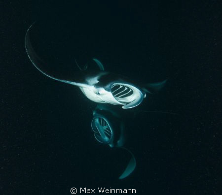 Snorkelling during storm with Nikon D300 and Sea and Sea ... by Max Weinmann 