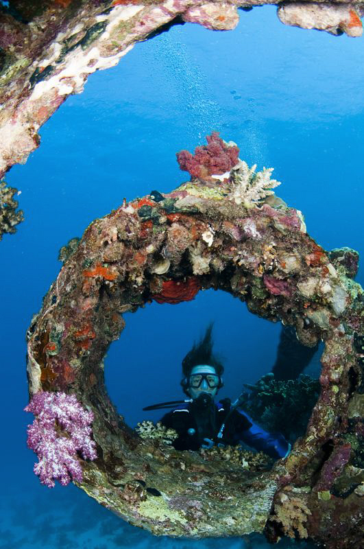 Diver framed against the bowsprit mounting taken from ins... by Paul Colley 