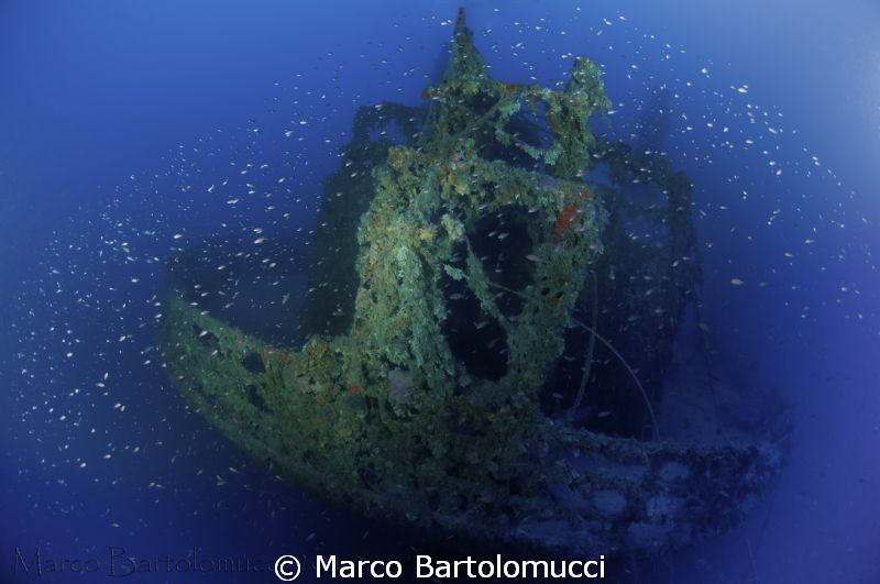 The fantastic stern of the Laura C.  italian ww2 wreck in... by Marco Bartolomucci 