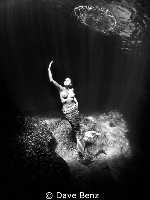 Mermaids dream... by Dave Benz 