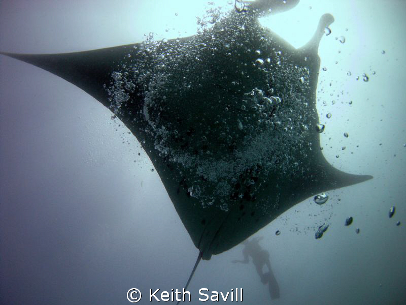 I need to get myself a Rebreather!!! by Keith Savill 