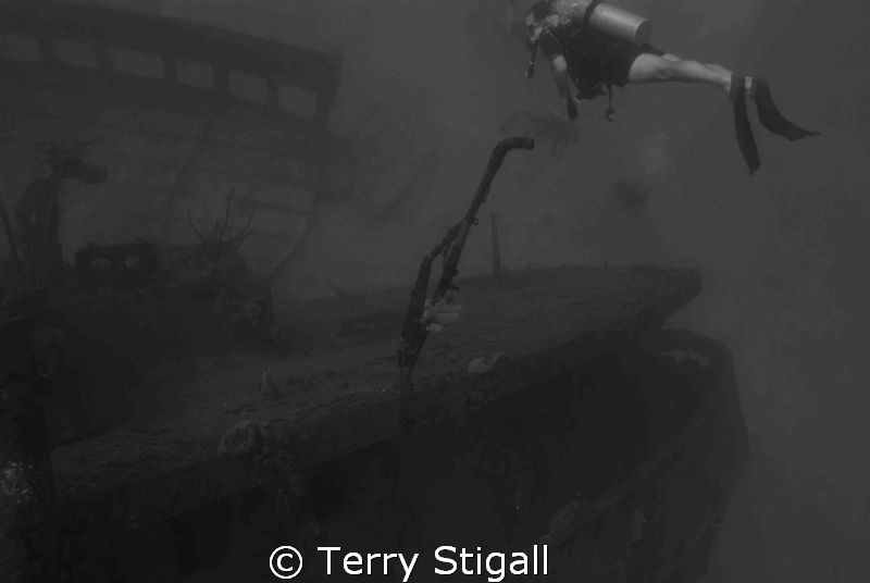 A little something in black and white. by Terry Stigall 