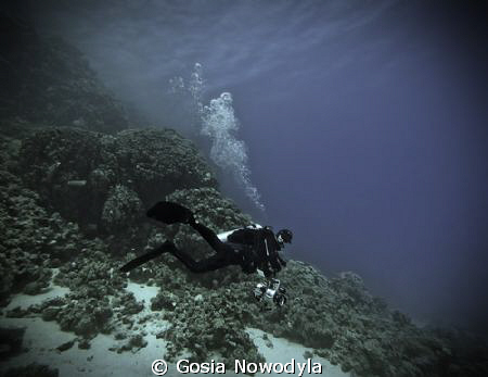 Going down to the blue, to make an underwater film. by Gosia Nowodyla 
