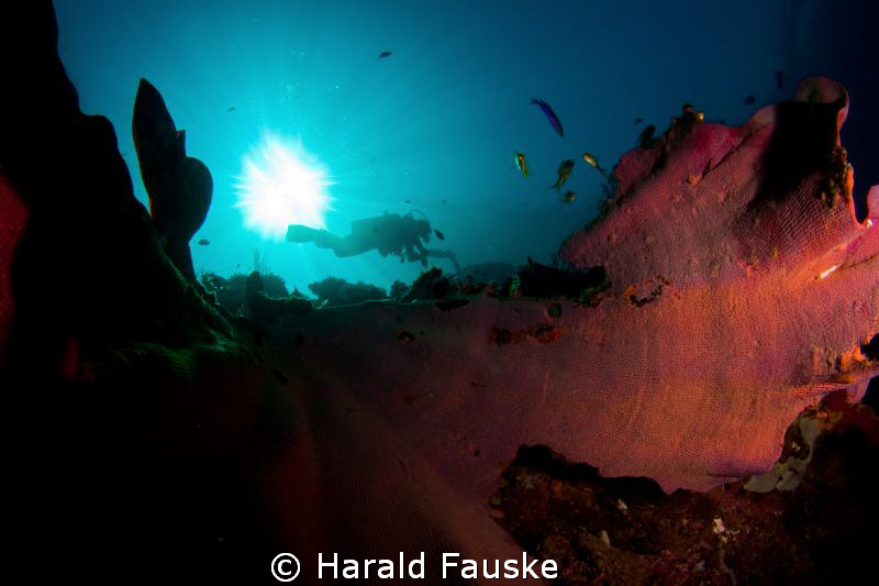Sogod bay , Southern Leyte
tokina 10-17 by Harald Fauske 