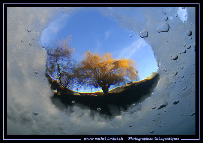 This week-end under the ice dive... Que du bonheur... :O)... by Michel Lonfat 