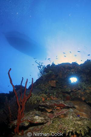 The Circle of Light by Nathan Cook 