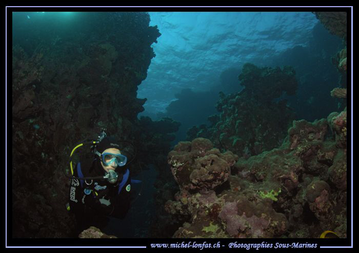 Read Sea exploration... Que du bonheur... by Michel Lonfat 