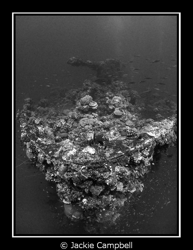 Bow shot of the Fujikawa Maru showing bow and bow gun.
C... by Jackie Campbell 