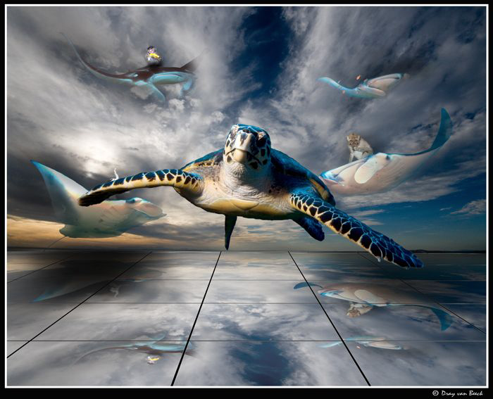 Riders on the storm... by Dray Van Beeck 