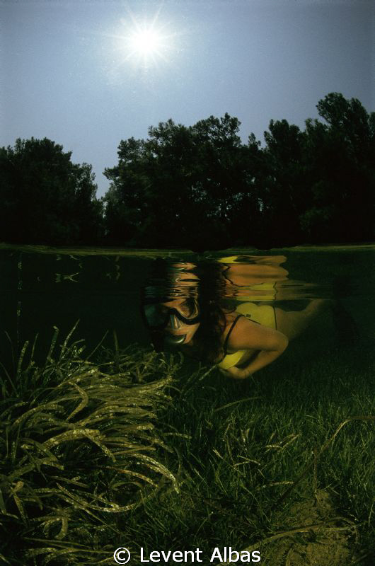 Half n Half by Levent Albas 