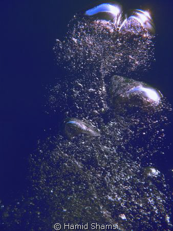 Air Bubbles by Hamid Shamsi 