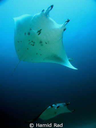 It's this time of year again... - Donkalo Thila, Maldives by Hamid Rad 