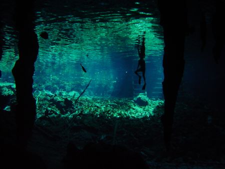 Grand Cenote, Tulum, Mexico by Christopher Hamilton 