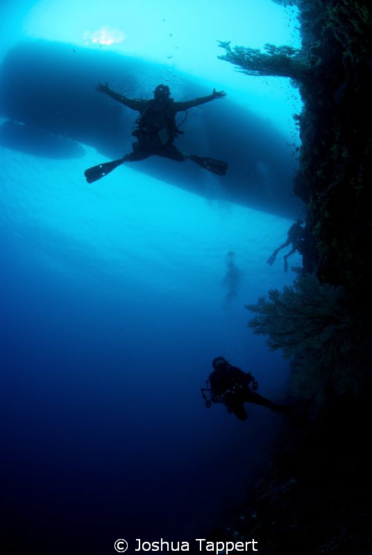 Freefallin the wall.  Dive Master Paul in Tubbataha. Azor... by Joshua Tappert 