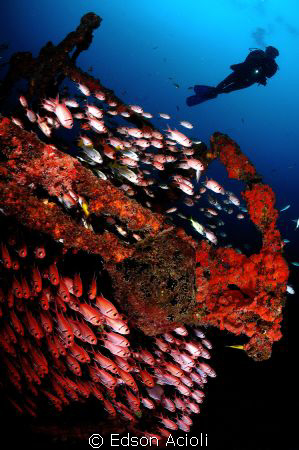 Vapor de Baixo wreck in Brazil by Edson Acioli 