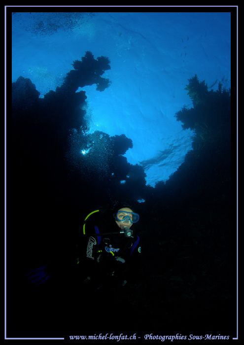 Diving the Red Sea... :O)... by Michel Lonfat 