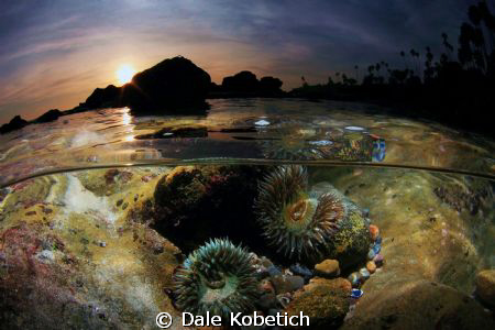 Laguna Beach sunset....half above below...home made housi... by Dale Kobetich 