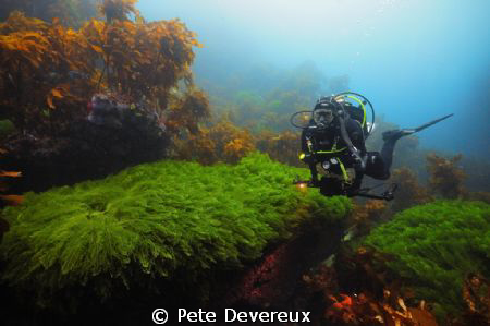 Entrance to Jan's Tunnel at Poor Knights Island circa 10m by Pete Devereux 