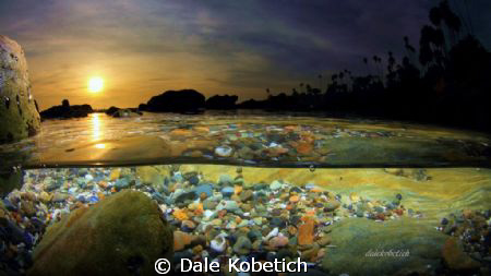 Sun...palm trees and the sea by Dale Kobetich 