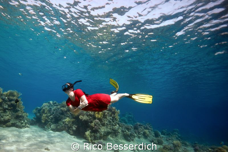 FreeDiving in the red sea. Canon 40D with Sigma 10-20mm. ... by Rico Besserdich 