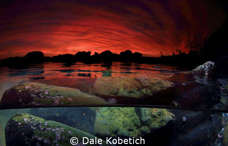 NEWS FLASH :  NASA reveals that the Mars surveyor discove... by Dale Kobetich 