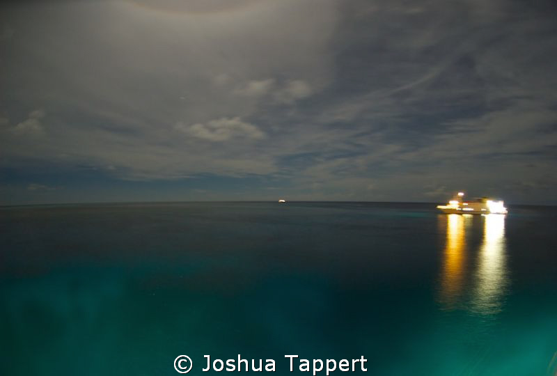 Moonlit night on the Azores by Joshua Tappert 