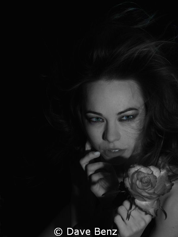 Siren... by Dave Benz 