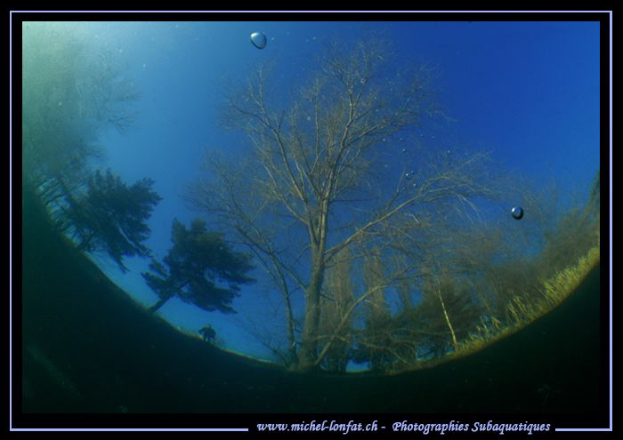 Freshwater Atmosphere... C'est que du bonheur... :O)... by Michel Lonfat 