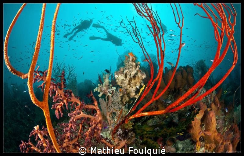 Raja Ampat by Mathieu Foulquié 