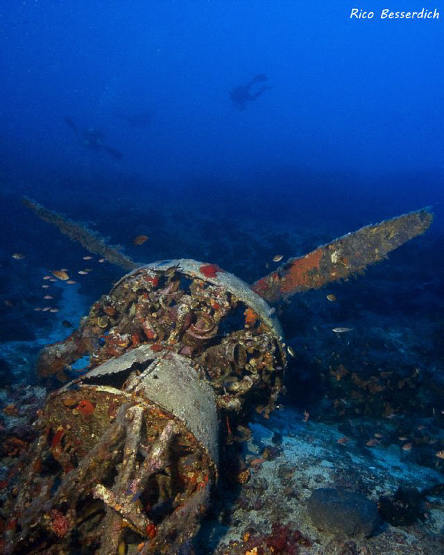 Wreckage of an italian bomber from the second world war. ... by Rico Besserdich 
