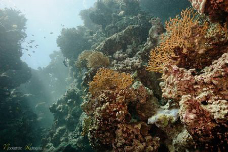 The bowl of the Blue Hole, Dahab by Nadya Kulagina 