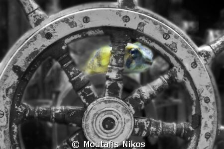 one of my friends by Moutafis Nikos 