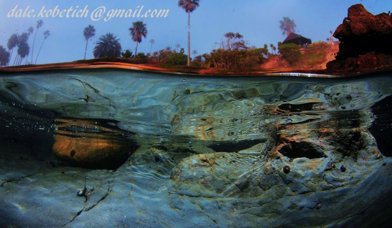 Reflections on a foggy afternoon in Laguna Beach by Dale Kobetich 