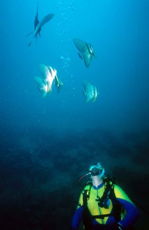 bubble chasers nikonos III 15mm by Chris Kennedy 