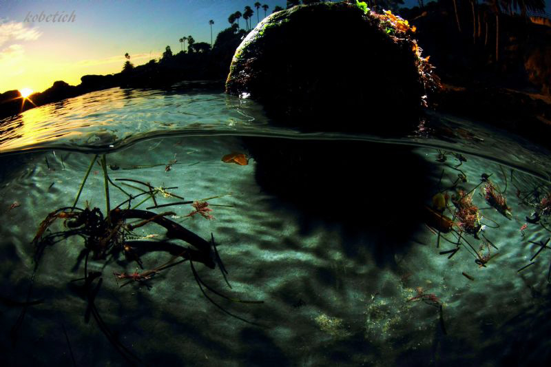 Mushroom Rock laguna beach by Dale Kobetich 