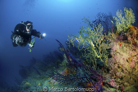 " Secca di Miseno" in the middle of Naples goulf by Marco Bartolomucci 