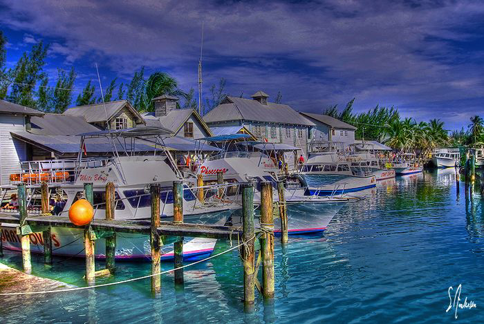 Another view of a sunny and busy day at Stuart Cove's - N... by Steven Anderson 