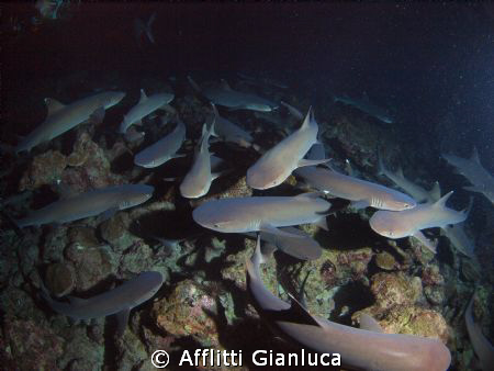 dive night by Afflitti Gianluca 