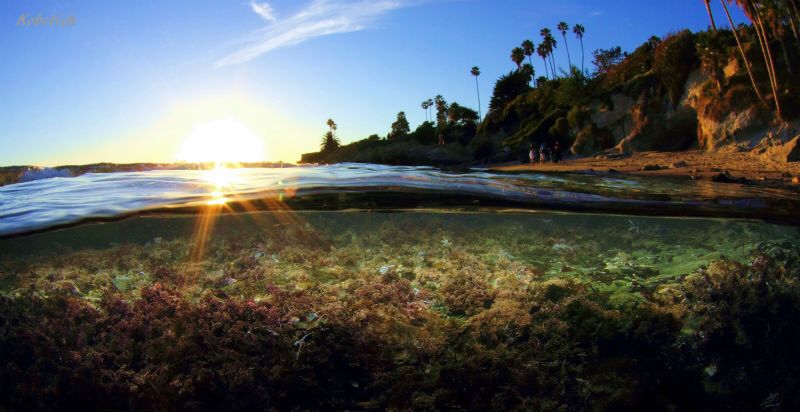 Lovers Cove on a Lovers Walk on Valentines Day by Dale Kobetich 