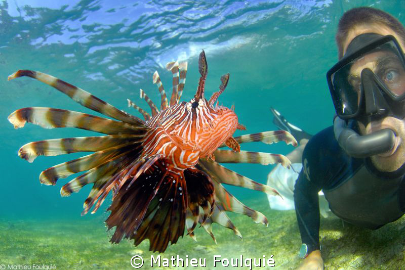 self portrait with the lionfish by Mathieu Foulquié 