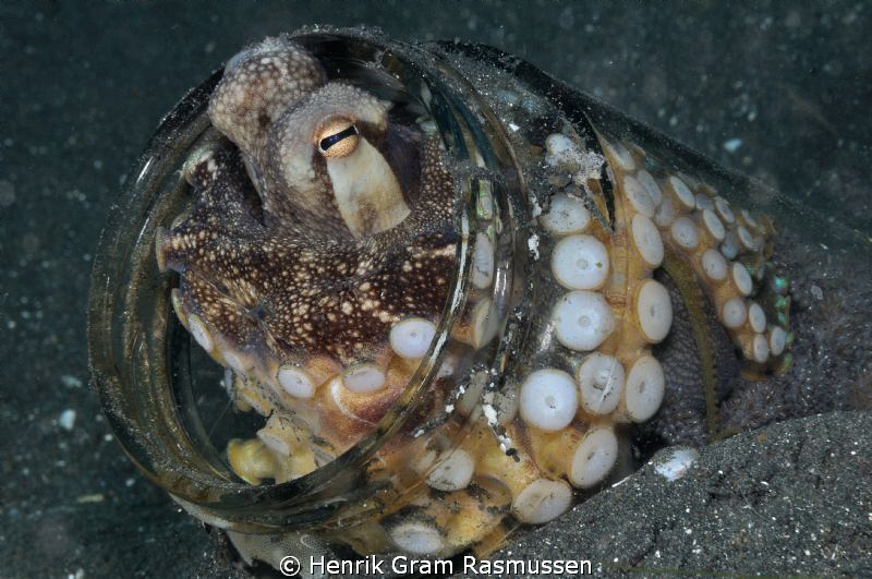 Octopus in a jar :) by Henrik Gram Rasmussen 