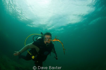 Belinda with weedy sea dragon by Dave Baxter 