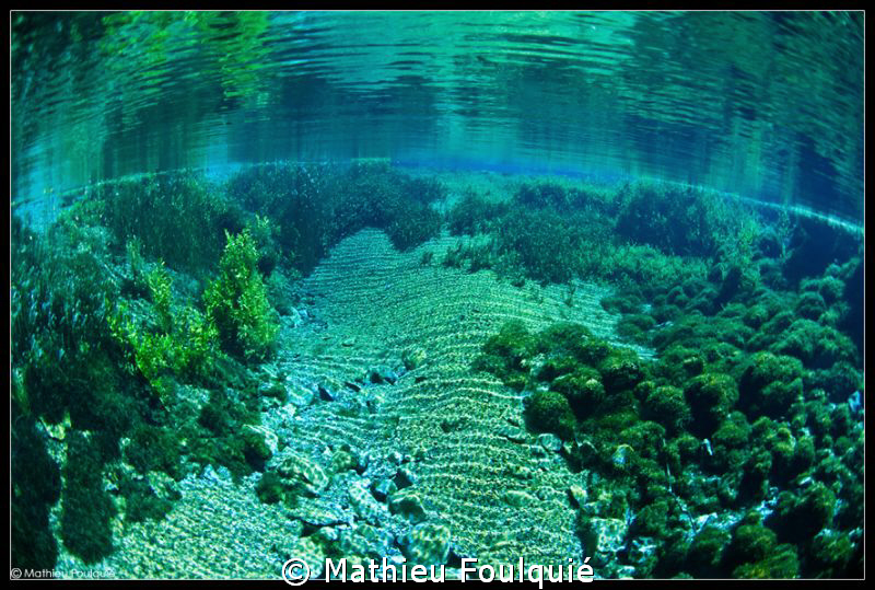 Bueges spring by Mathieu Foulquié 