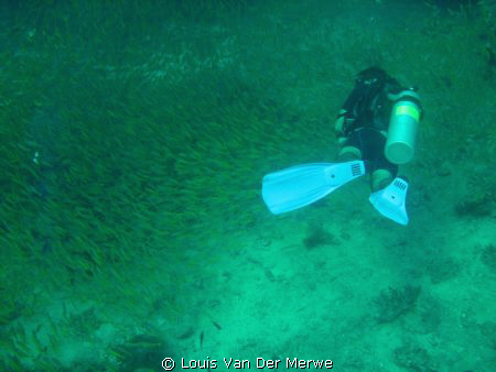 fish tunnel by Louis Van Der Merwe 